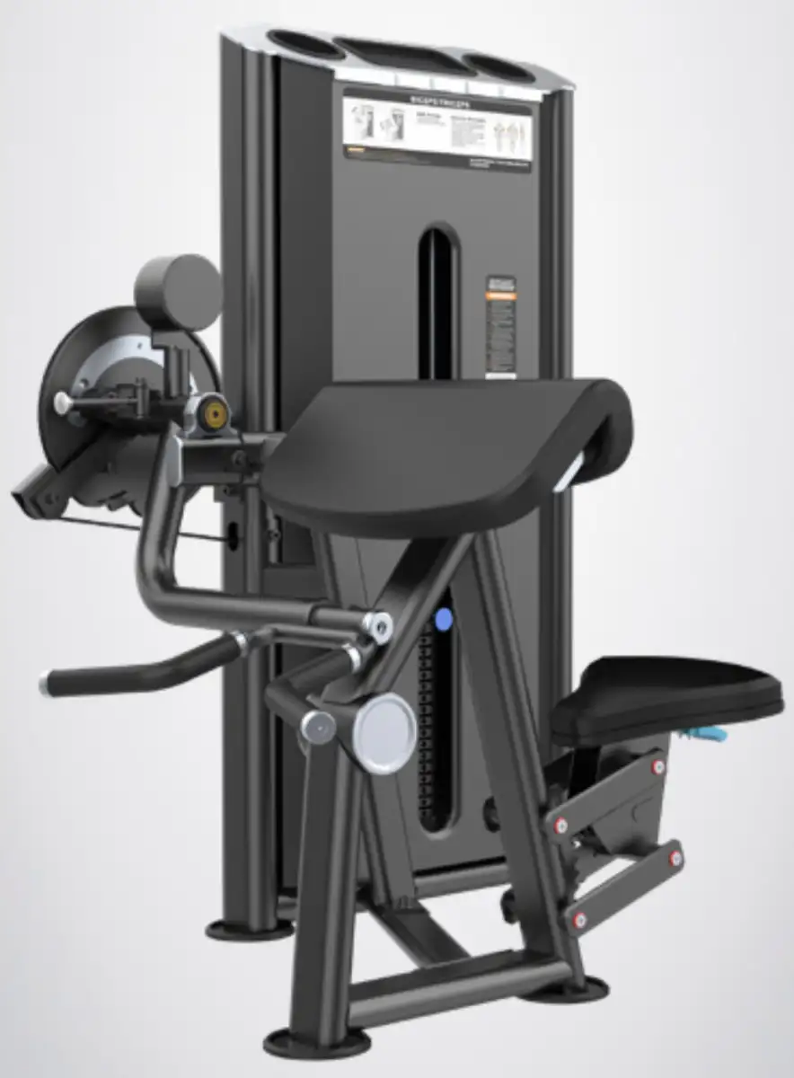 017 bíceps/tríceps