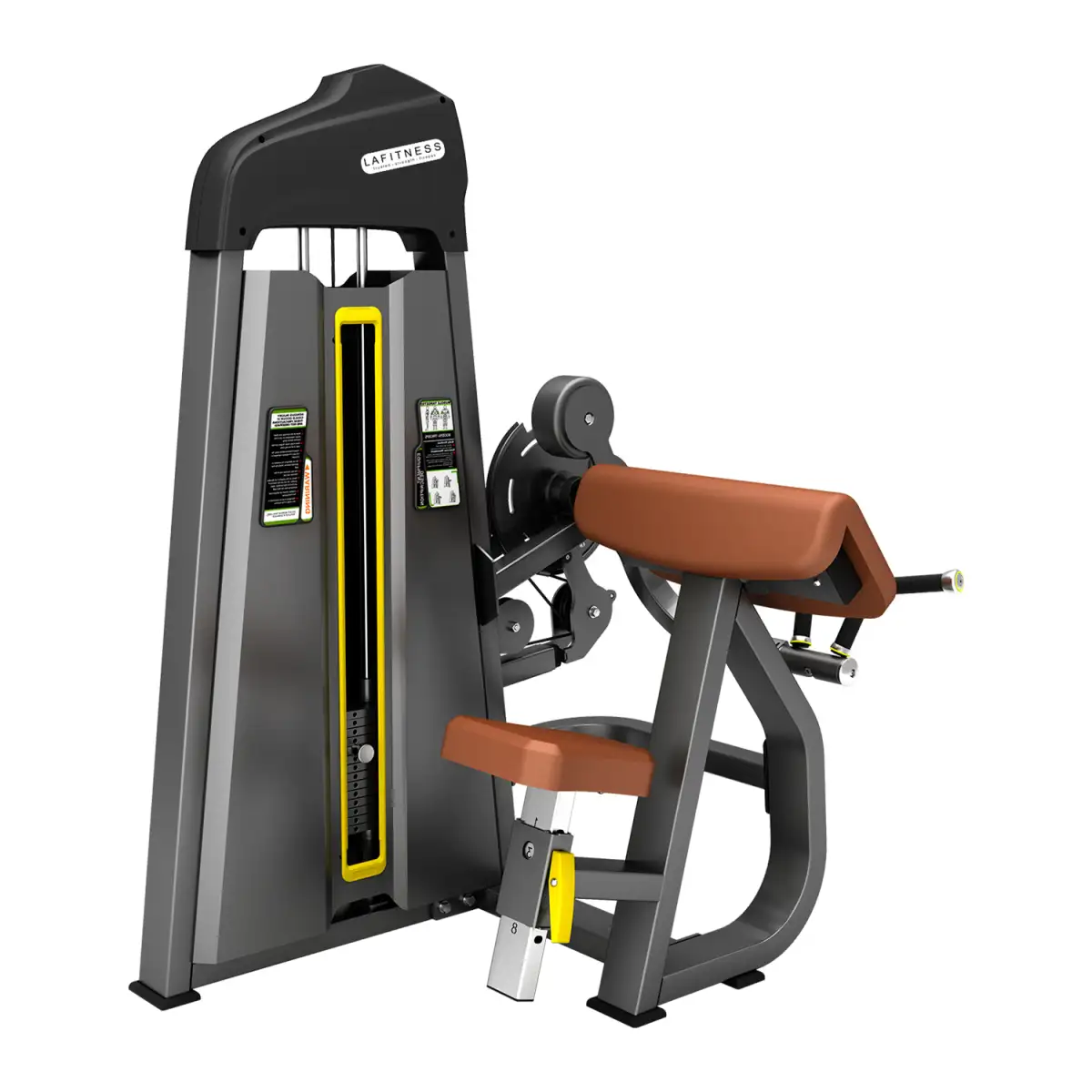 019 BÍCEPS/TRÍCEPS