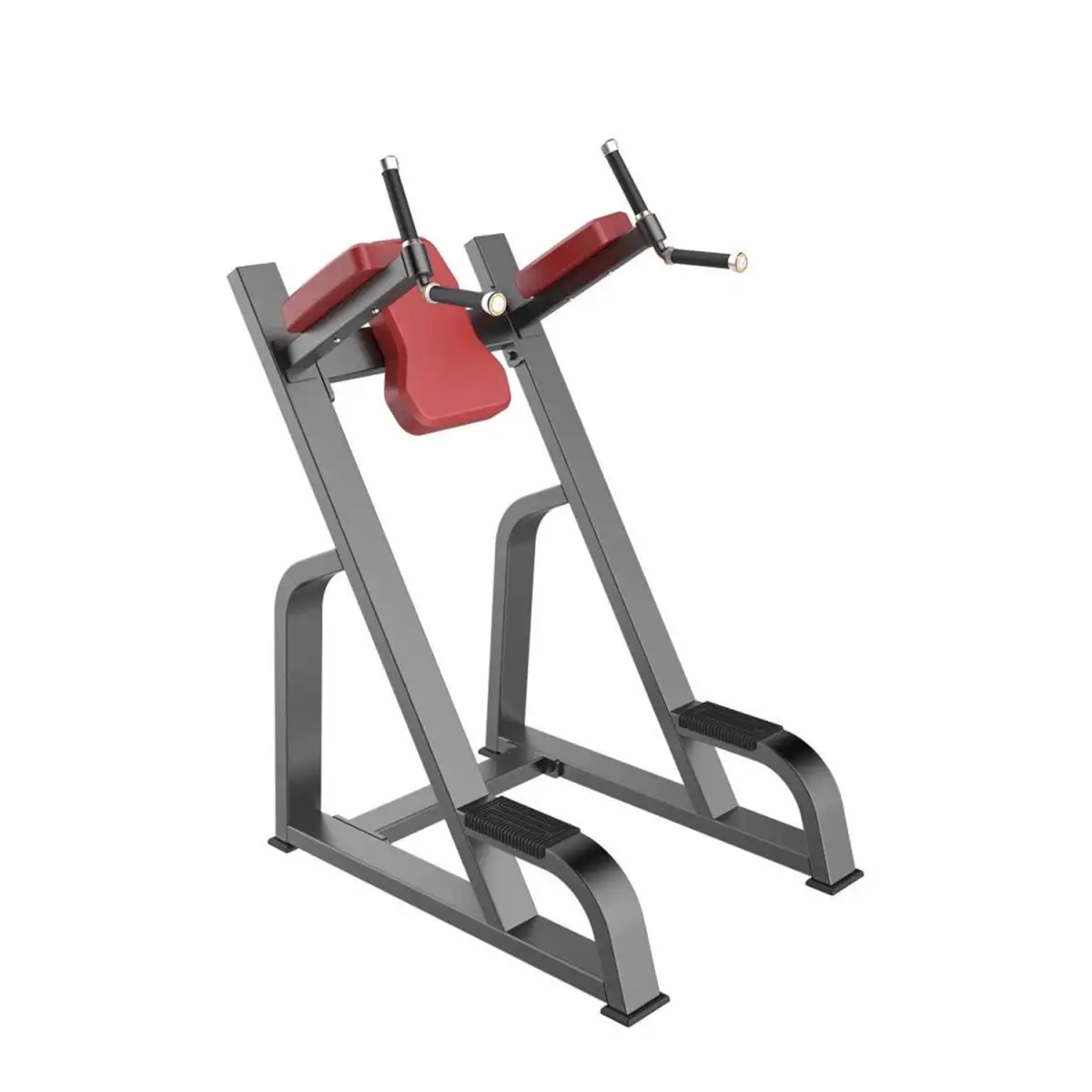 046 paralela abdominal